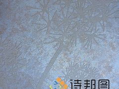 中国新型环保建材--买优惠的绿色建材,就来诗邦图-诗邦图(中国)品牌运营总部提供中国新型环保建材--买优惠的绿色建材,就来诗邦图的相关介绍、产品、服务、图片、价格肌理漆、肌理壁膜、福建肌理漆、肌理壁膜漆代理、硅藻泥厂家、肌理液体壁纸、