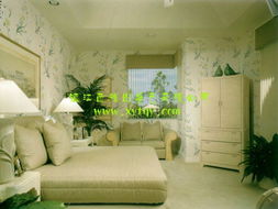 镇江 江苏镇江销售 镇江建材 镇江建材市场 供应最火爆的赚钱项目创业投资维科特幻图漆诚征代理